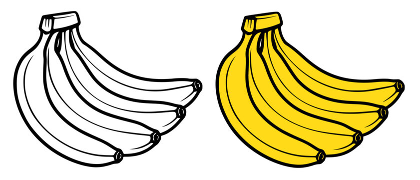 Banana illustration, in line art and colored design, for coloring page