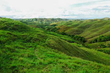 Fototapeta premium Wairinding Hill Scenic Rolling Grassland Savanna Landscape in East Sumba