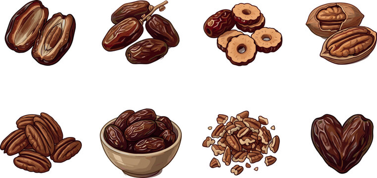 Dates and Pecan Nut Collection with Healthy Dried Fruit Snacks, Heart Shape Date Illustration, and Organic Food Design Elements