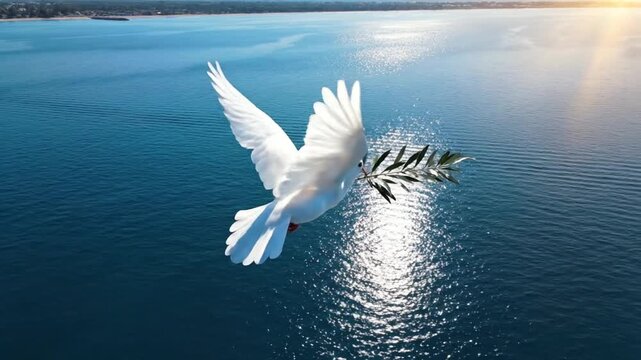 White Dove Flying Over Blue Ocean Carrying Olive Branch at Sunset