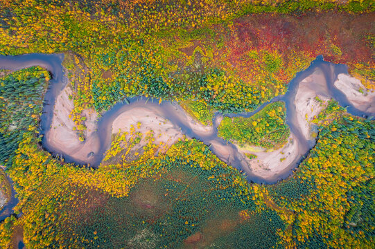 Aerial view of a winding river meandering through a vibrant autumn forest with colorful foliage and sandy banks near Coldfoot, Alaska, United States.