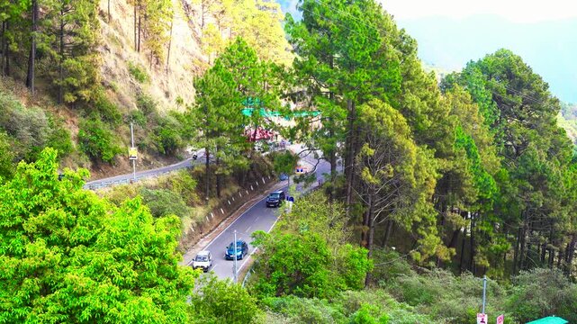 Aerial view of a scenic winding mountain road surrounded by pine forests in Manali, India