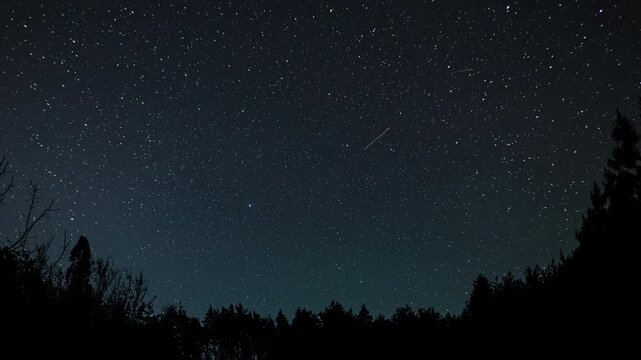 Time lapse of the starry night sky above a forest landscape: a clear night sky, studded with stars, above the dark forest horizon a peaceful and serene scene.