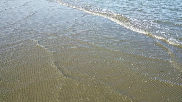 the shore of the beach