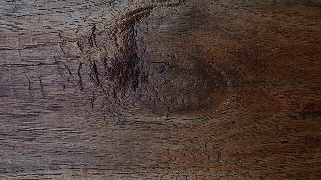 Dark Teak Wood Grain Texture Macro Aesthetic Background Loop 4K