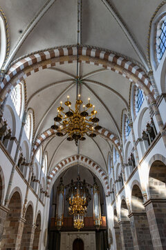 View of the interior of Ribe Cathedral featuring vaulted ceilings with striped arches, golden chandeliers, and a pipe organ Ribe, Denmark.