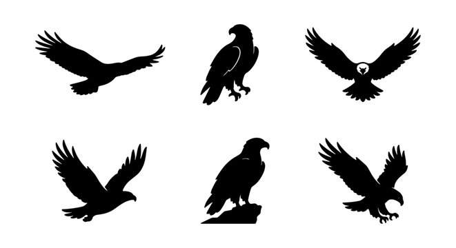 Set of eagle silhouettes in various poses