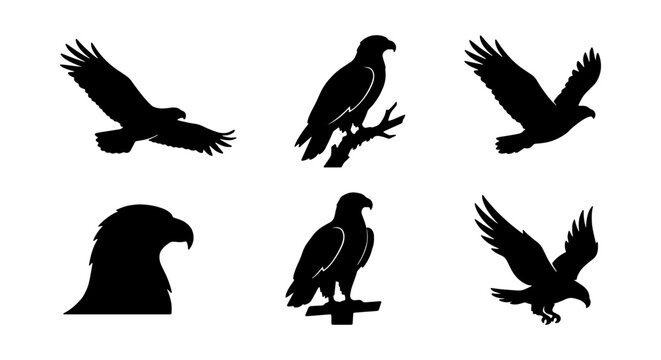Set of eagle silhouettes in different poses