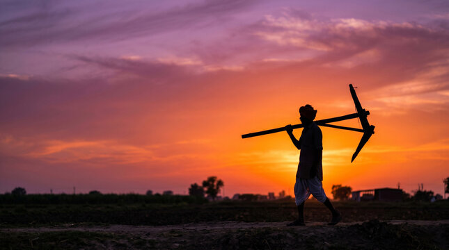 Silhouette of Indian Farmer Carrying a Plow in Field at Sunset