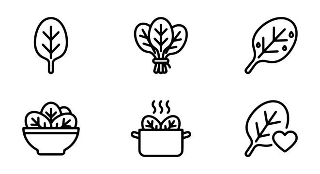 Set of spinach icons, including fresh leaves, bunch, salad bowl, and cooked spinach in a pot