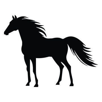 Horse silhouette vector.  Horse vector icon. Standing or running horses, stallion, jumping, galloping, trotting, rearing horse on white background. Vector illustration.