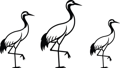 Obraz premium Black and white cranes, bird illustrations, vector graphics, wildlife icons, animal designs