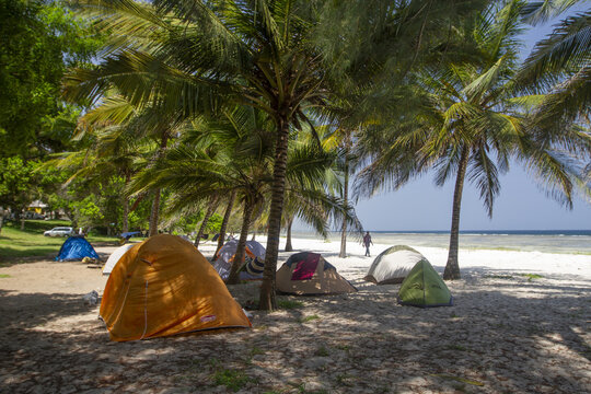 View of colorful camping tents pitched under palm trees on the white sand of Tiwi Beach with the blue ocean in the background Tiwi, Wilaya ya Kwale, Kenya.