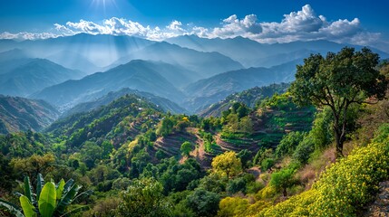 Obraz premium Sunlight streams through misty blue mountains and lush green terraced fields during a bright day