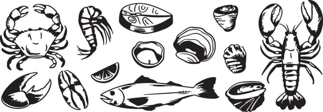 Seafood assortment featuring shellfish and fish sketches