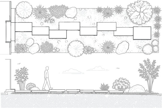 Landscape Garden Pathway Plan and Section Drawing, Outdoor Walkway Architecture Design with Plants and Pavers Line Art Vector