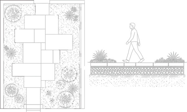 Landscape Garden Walkway Plan and Section Drawing, Outdoor Pathway Architecture with Human Figure, Plants and Pavers Line Art Vector