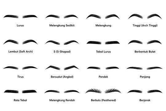 A set of 16 icons Eyebrow Shapes  Female Brows Guide Makeup Chart
