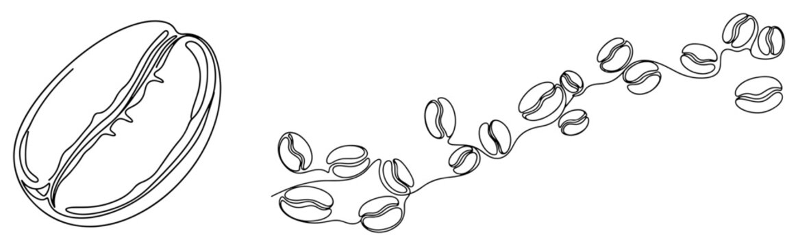 Roasted coffee beans drifting in a wave pattern for cafe branding in continuous line art style
