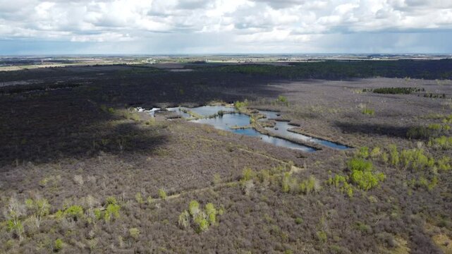 My MovieAerial wide panorama of a vast spring forest with a central lake under a dramatic cloudy sky, cinematic drone flight over budding woodland with shifting shadows on the ground, panoramic view o