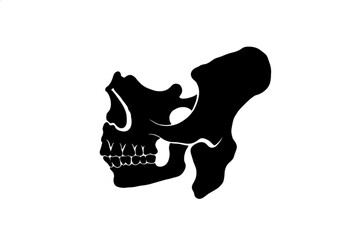 Human Skull Silhouette: A stark black and white depiction of a human skull silhouette, offering a minimalist yet striking representation of human anatomy. © MetaPixel Studio