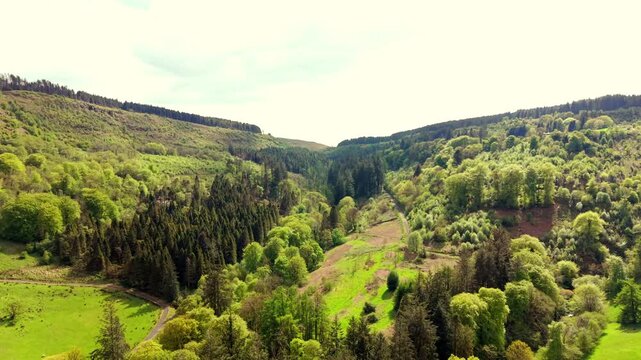 Wide advancing 4K 60FPS aerial video of Glenariff in County Antrim, Northern Ireland in the UK.. Produced in 3840x2160 and with Rec709 color.