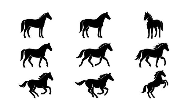 Silhouette Horse Vector Illustration Set Showing Horses in Different Poses and Movements for Nature, Farm, and Animal Design