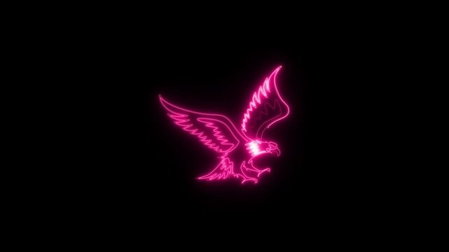 Neon eagle in flight motion graphic with glowing pink outline on black background