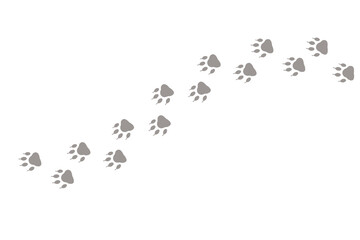 Paw print of dog isolated on transparent background. cat paw print. cat walk foot print. Paw print of dog PNG paw  © Izzat