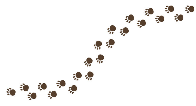 Paw vector foot trail print on white background. foot trail cat or Dog, path pattern animal tracks, isolated on tranparent background 