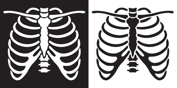  human rib skeleton bone medical anatomy x-ray imaging symbol icon isolated illustration