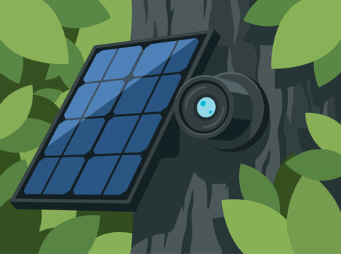 A sleek, solar-powered forest camera blends seamlessly with tree bark. This renewable energy device captures wildlife in a natural setting. Ideal for nature, security, and sustainable tech visuals.