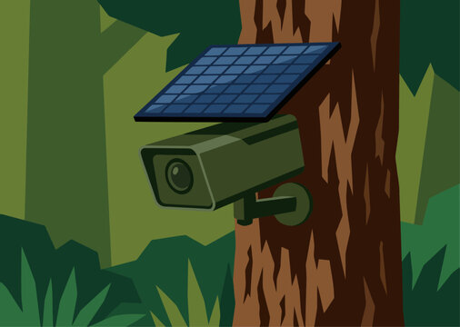 A solar-powered security camera monitors a forest tree. This image showcases outdoor surveillance and renewable energy solutions. Clean, modern illustration.