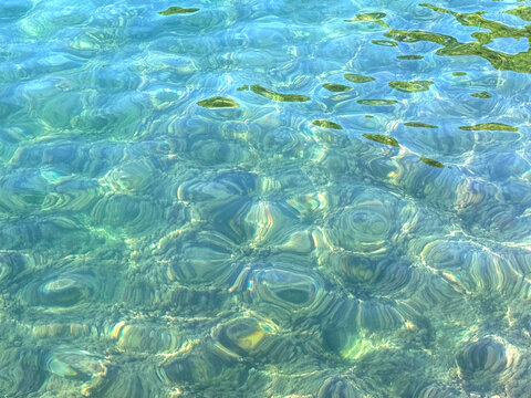 Beautiful sea water with underwater algae.