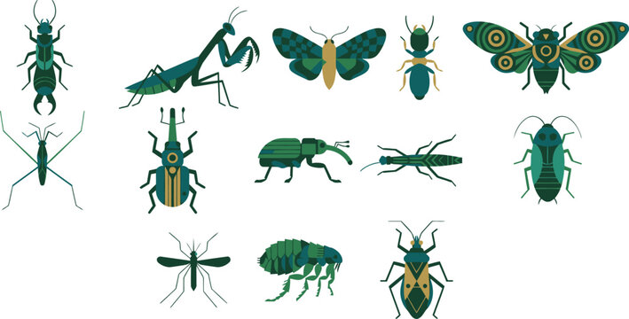 Stylized insect vector collection, flat geometric bug icons in green and teal, set of 13 entomology illustrations for educational biology graphics