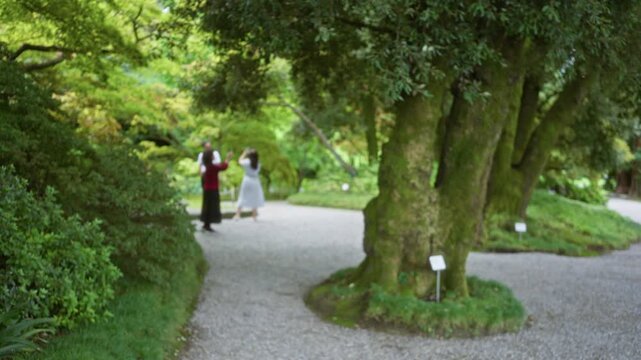 Blurred garden pathway scene with shallow bokeh and defocused mossy tree trunks along a gravel path; background backplate copyspace template.