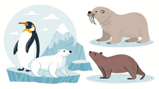 Arctic animals polar bear penguin walrus.