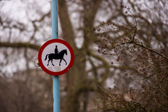 View of a circular no horse riding road sign with a red border and black silhouette on a blue pole against blurred trees in London, England, United Kingdom.