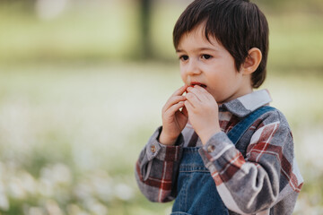 Fototapeta premium A young boy eats a small fruit while standing outdoors. He pauses to nibble his snack in a blurred grassy park setting.