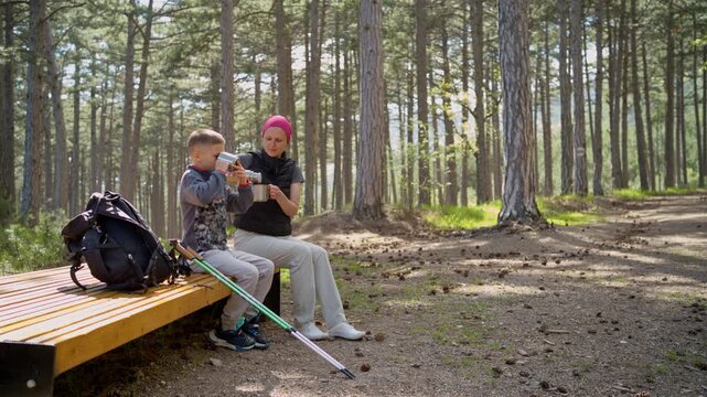 Mother pouring hot drink for son on hiking trail. Parent and child taking a break on wooden bench in pine forest.