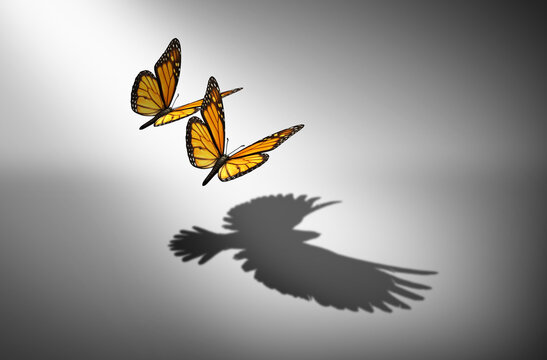 Team Aspiration for change and partnership ambition for group improvement and partner success as a teamwork metaphor for unity growth and teams transformation as a butterfly or two butterflies casting