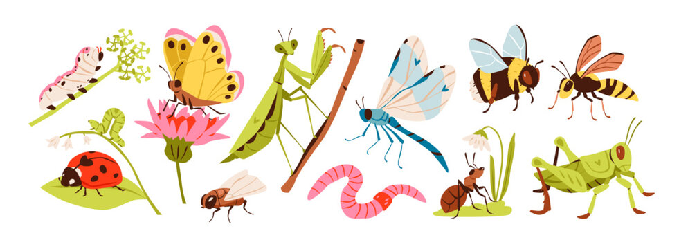 Cute insect collection with butterfly, bee, dragonfly, and ladybug characters. Vector illustration perfect for kids education and nature themes. Colorful garden bugs with flowers.