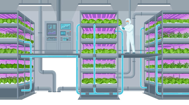 Indoor vertical hydroponic farm with stacked growing towers LED grow lights and lettuce cultivation system vector illustration