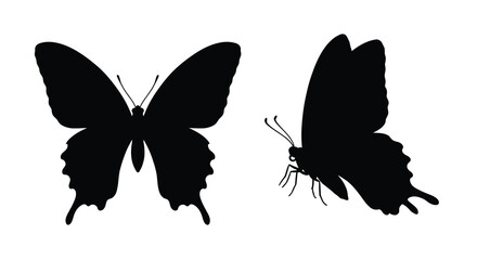 Two butterfly silhouettes in different poses black on white background silhouette © Aklima