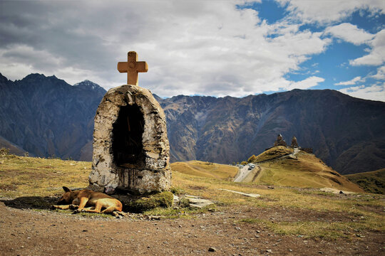 Dog Resting Beside Mountain Shrine Near Gergeti Trinity Church in Georgia