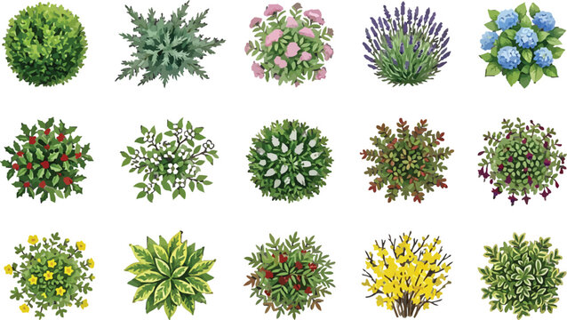Set of garden shrubs and ornamental plants top view for landscape design architectural plan vector illustration