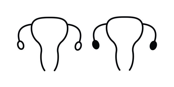 Uterus icon solid Design. Line icons for web