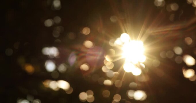 Golden sunlight shining through trees with soft bokeh and lens flare. Warm natural atmosphere ideal for backgrounds, relaxation videos, cinematic and nature content