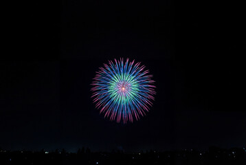 Fototapeta premium Single colorful firework bursting in a deep dark night sky