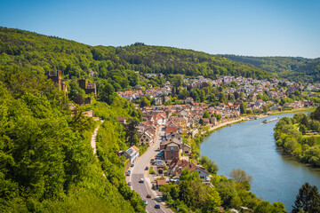 Obraz premium View at river Neckar in Germany, surrounded by beautiful landscape and castle ruins